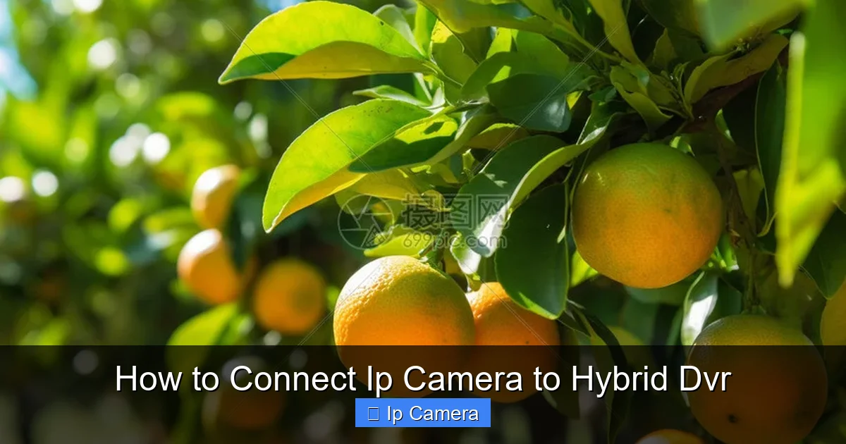 How to Connect Ip Camera to Hybrid Dvr