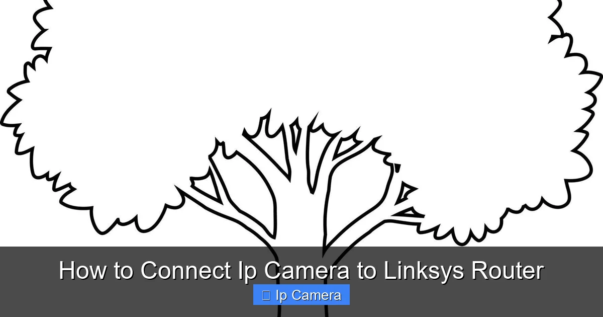 How to Connect Ip Camera to Linksys Router