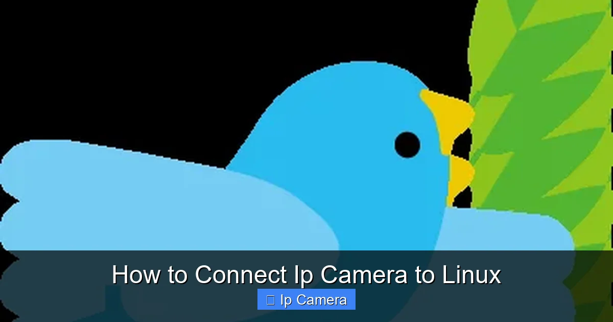 How to Connect Ip Camera to Linux