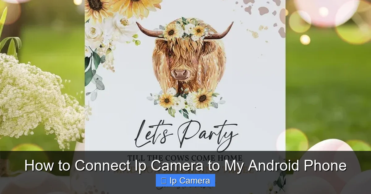 How to Connect Ip Camera to My Android Phone