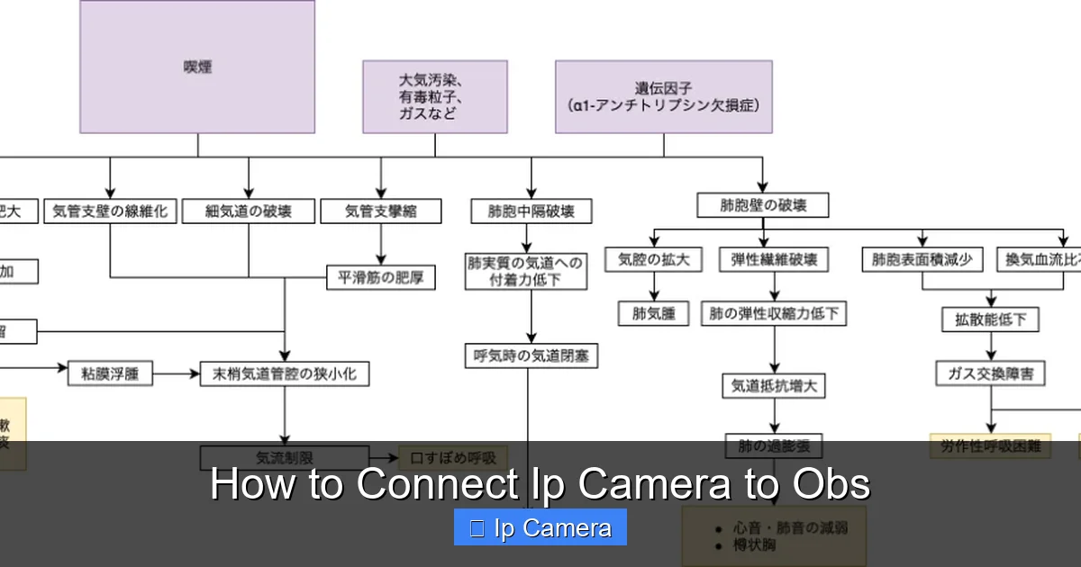 How to Connect Ip Camera to Obs