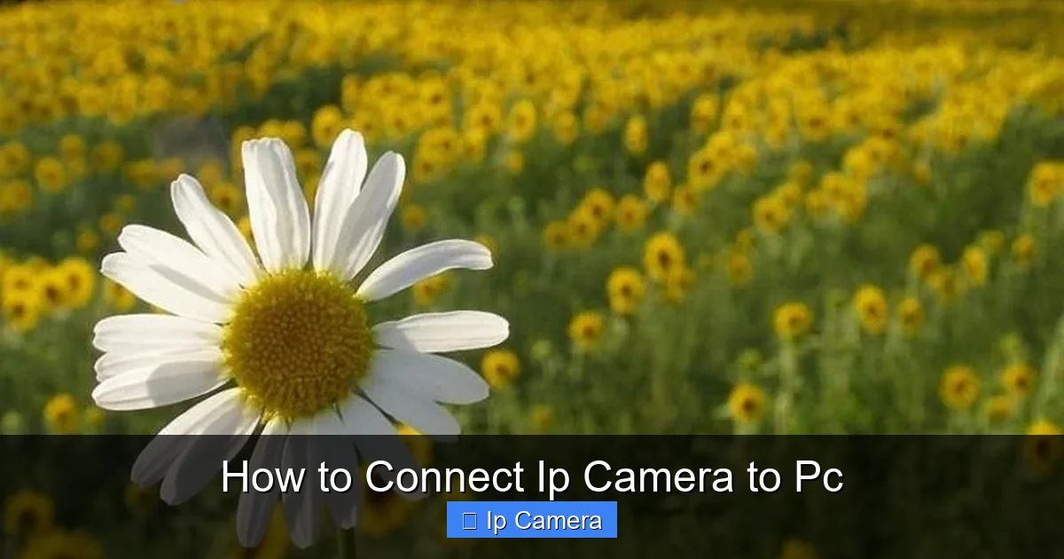 How to Connect Ip Camera to Pc