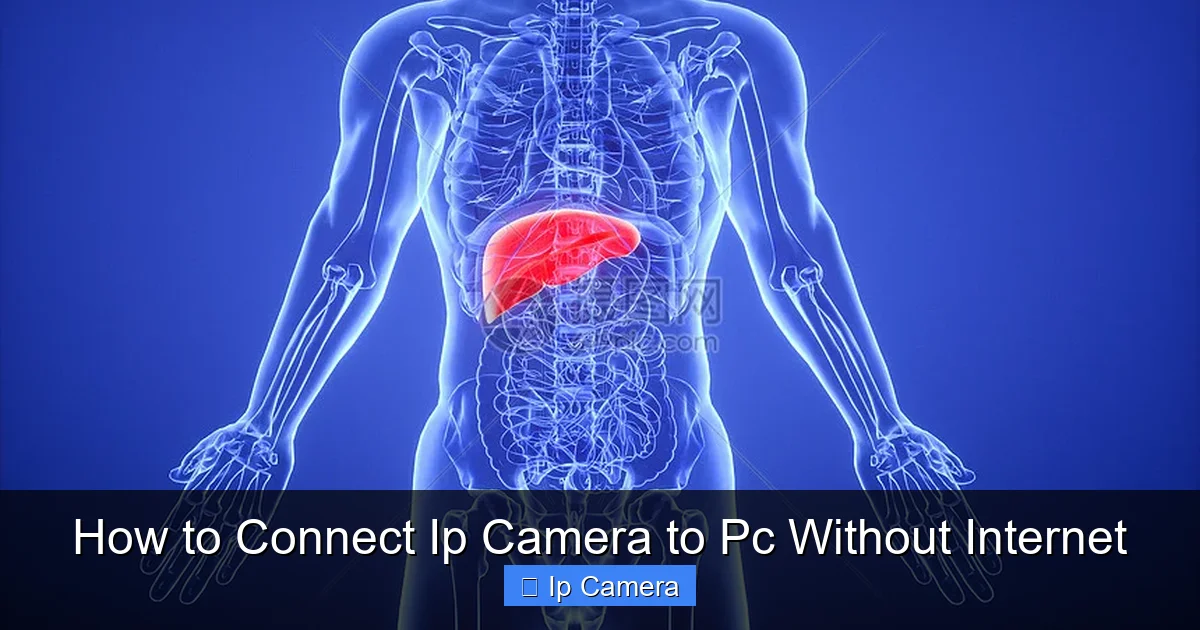 How to Connect Ip Camera to Pc Without Internet