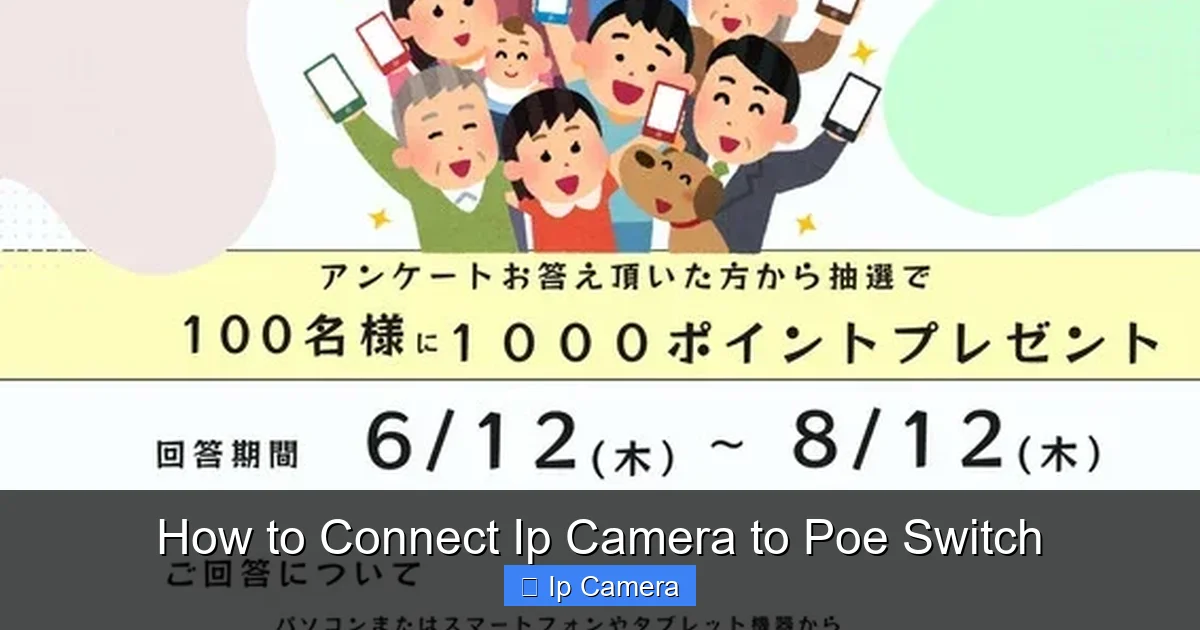How to Connect Ip Camera to Poe Switch
