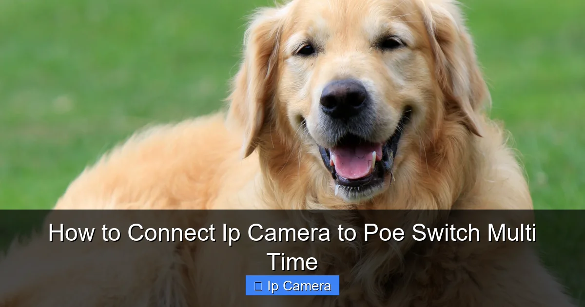 How to Connect Ip Camera to Poe Switch Multi Time