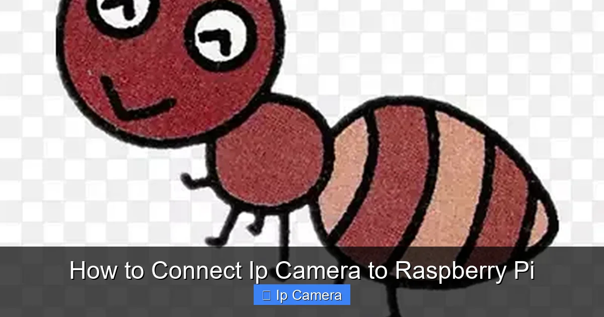 How to Connect Ip Camera to Raspberry Pi