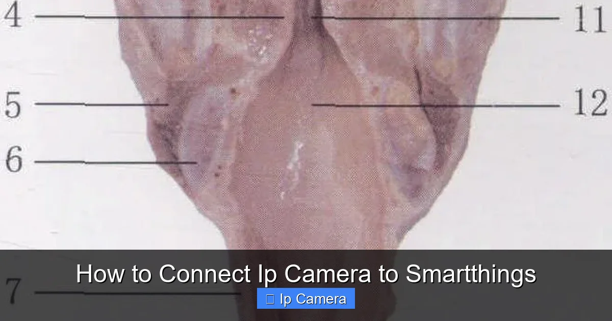 How to Connect Ip Camera to Smartthings
