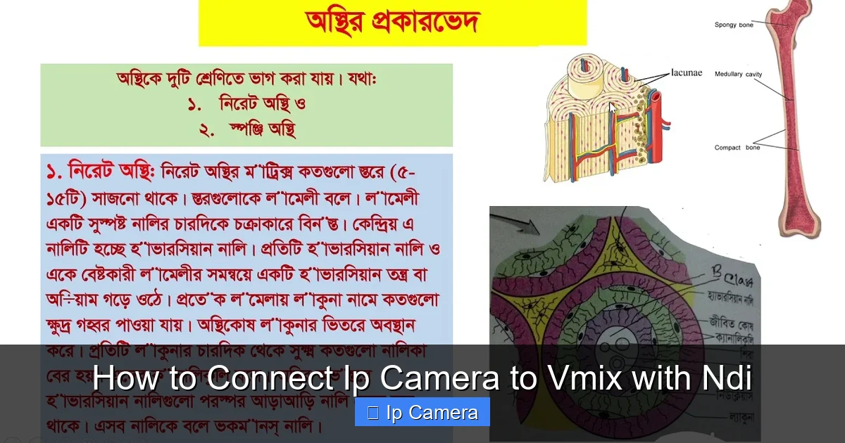 How to Connect Ip Camera to Vmix with Ndi
