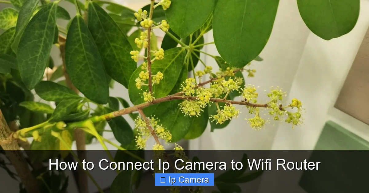 How to Connect Ip Camera to Wifi Router