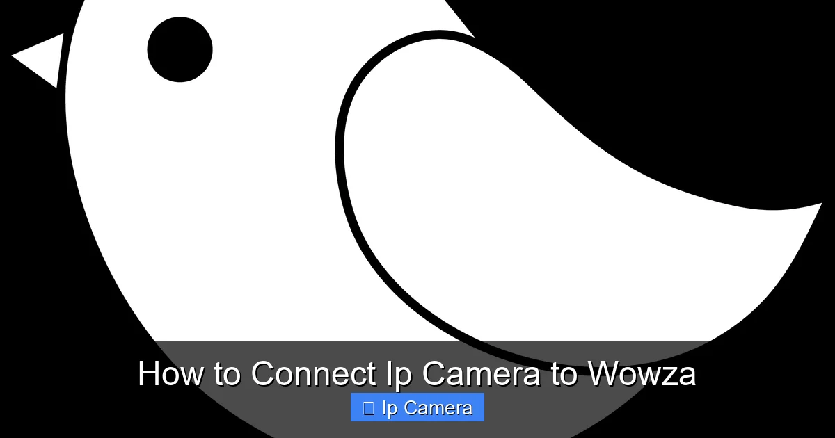 How to Connect Ip Camera to Wowza