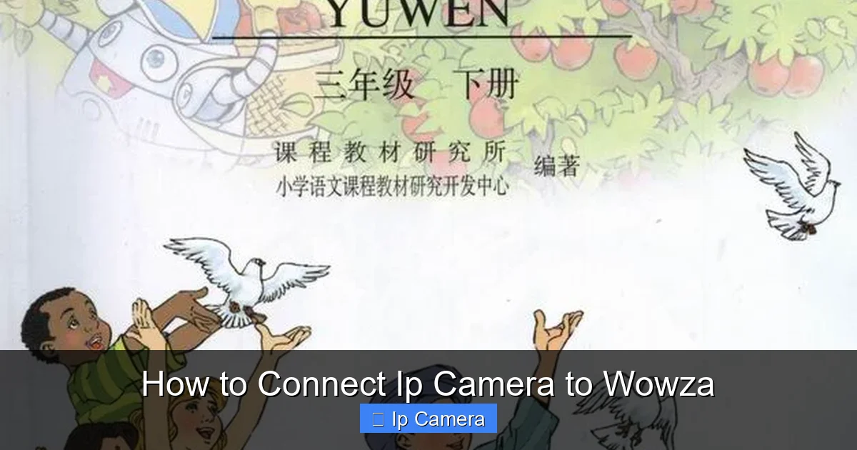 How to Connect Ip Camera to Wowza
