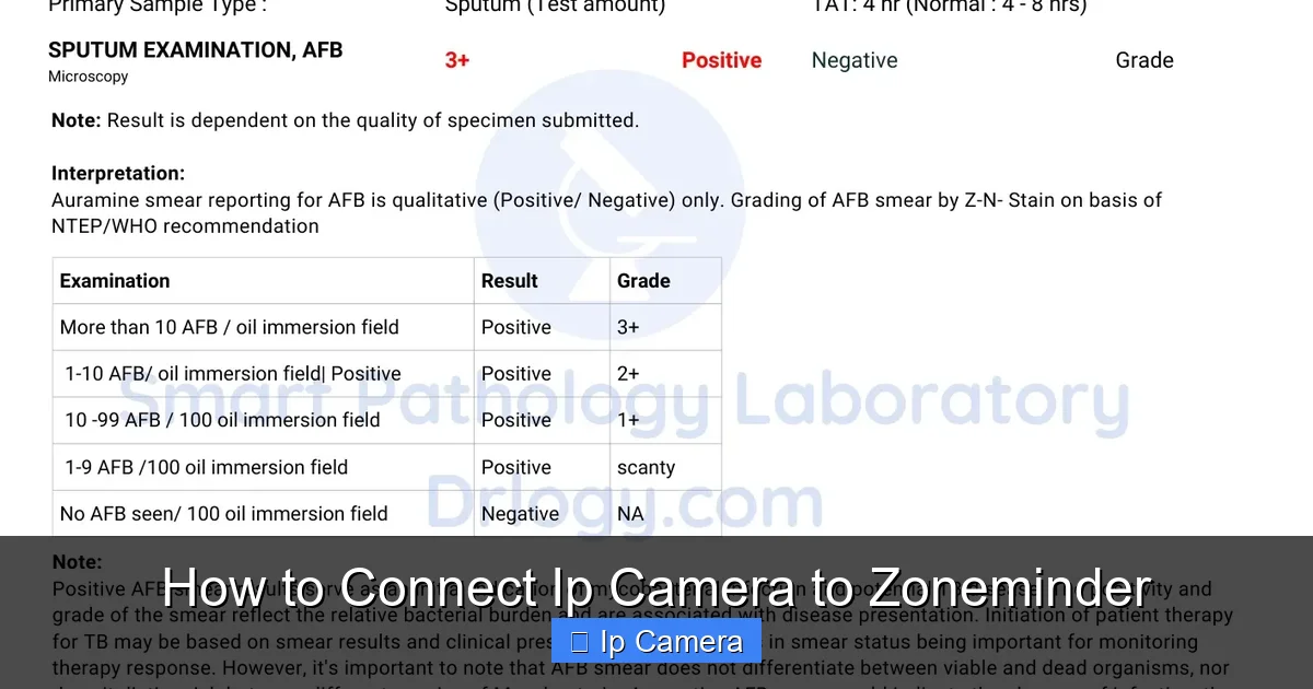 How to Connect Ip Camera to Zoneminder