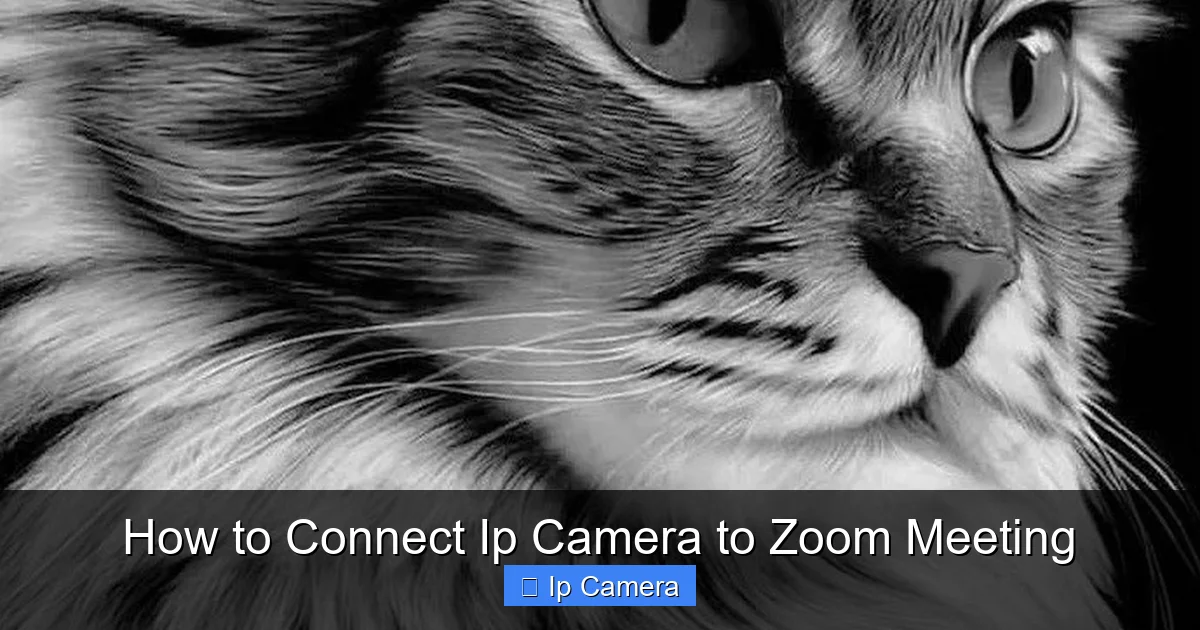 How to Connect Ip Camera to Zoom Meeting