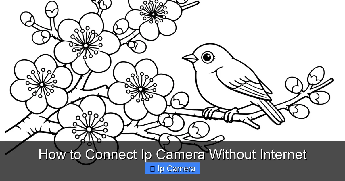 How to Connect Ip Camera Without Internet
