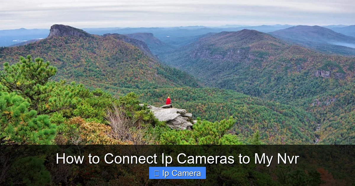 How to Connect Ip Cameras to My Nvr