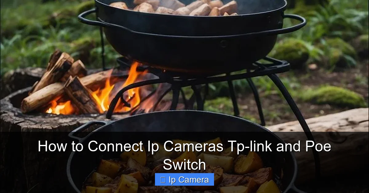 How to Connect Ip Cameras Tp-link and Poe Switch