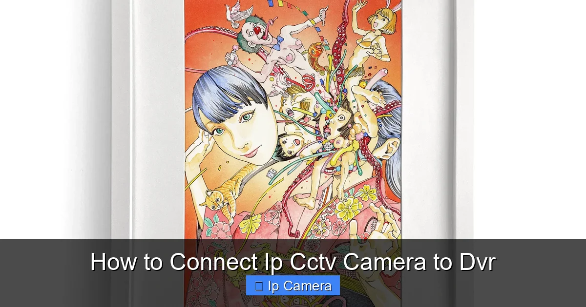How to Connect Ip Cctv Camera to Dvr