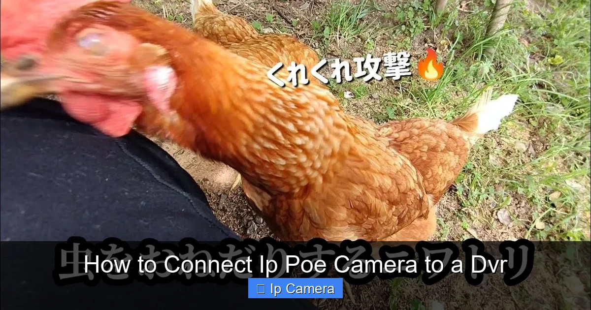 How to Connect Ip Poe Camera to a Dvr