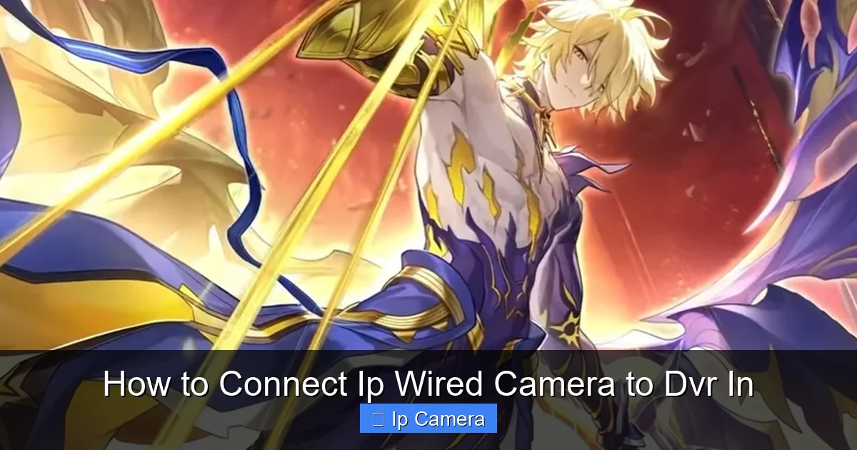 How to Connect Ip Wired Camera to Dvr In