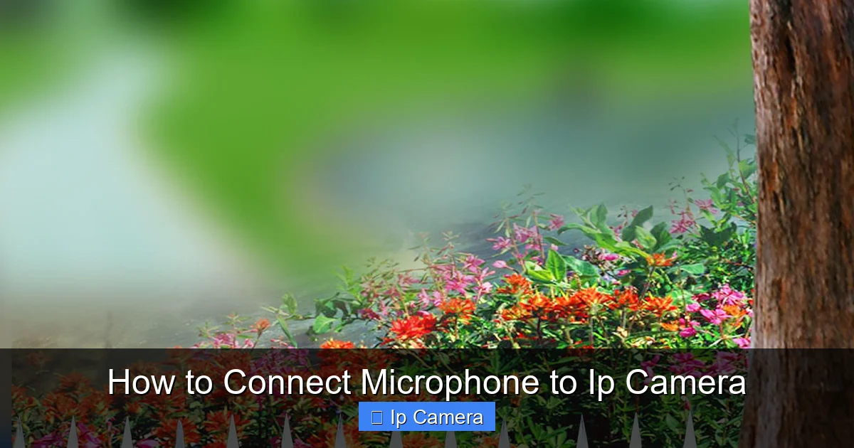 How to Connect Microphone to Ip Camera