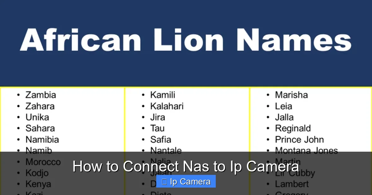 How to Connect Nas to Ip Camera