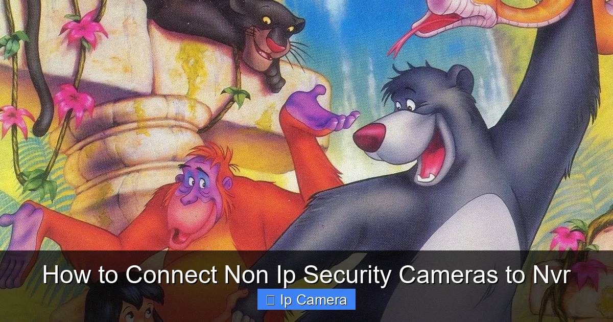 How to Connect Non Ip Security Cameras to Nvr