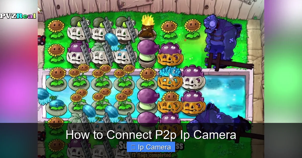 How to Connect P2p Ip Camera