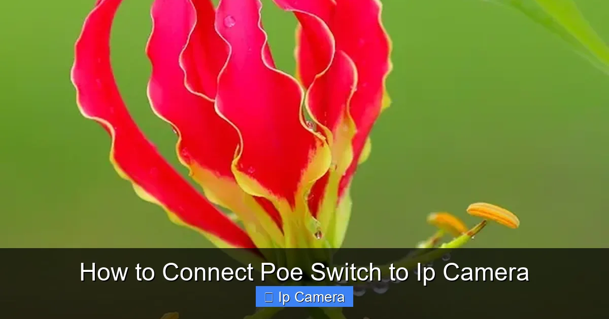 How to Connect Poe Switch to Ip Camera