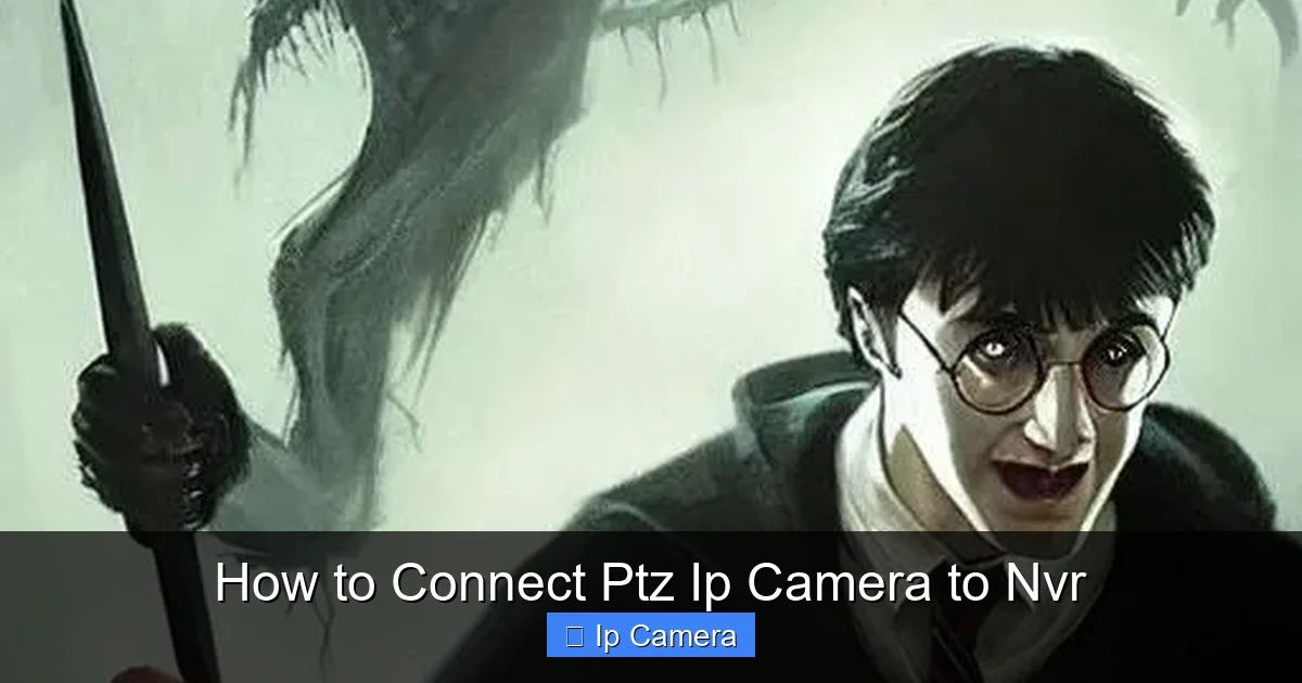How to Connect Ptz Ip Camera to Nvr