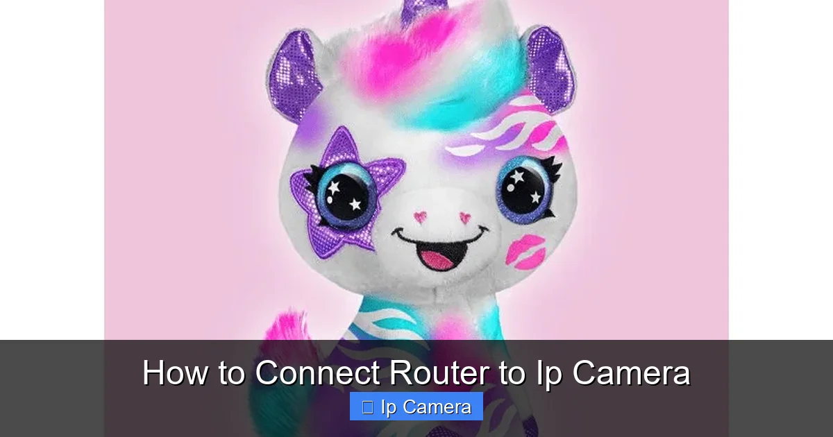 How to Connect Router to Ip Camera
