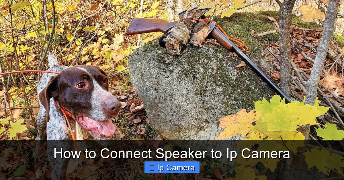 How to Connect Speaker to Ip Camera