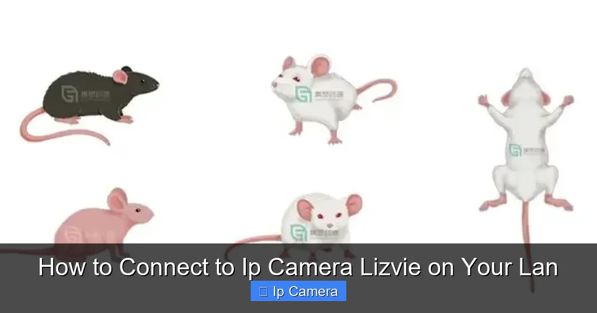 How to Connect to Ip Camera Lizvie on Your Lan
