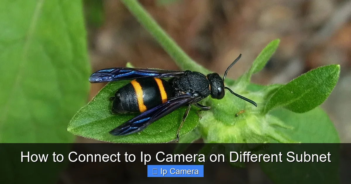 How to Connect to Ip Camera on Different Subnet
