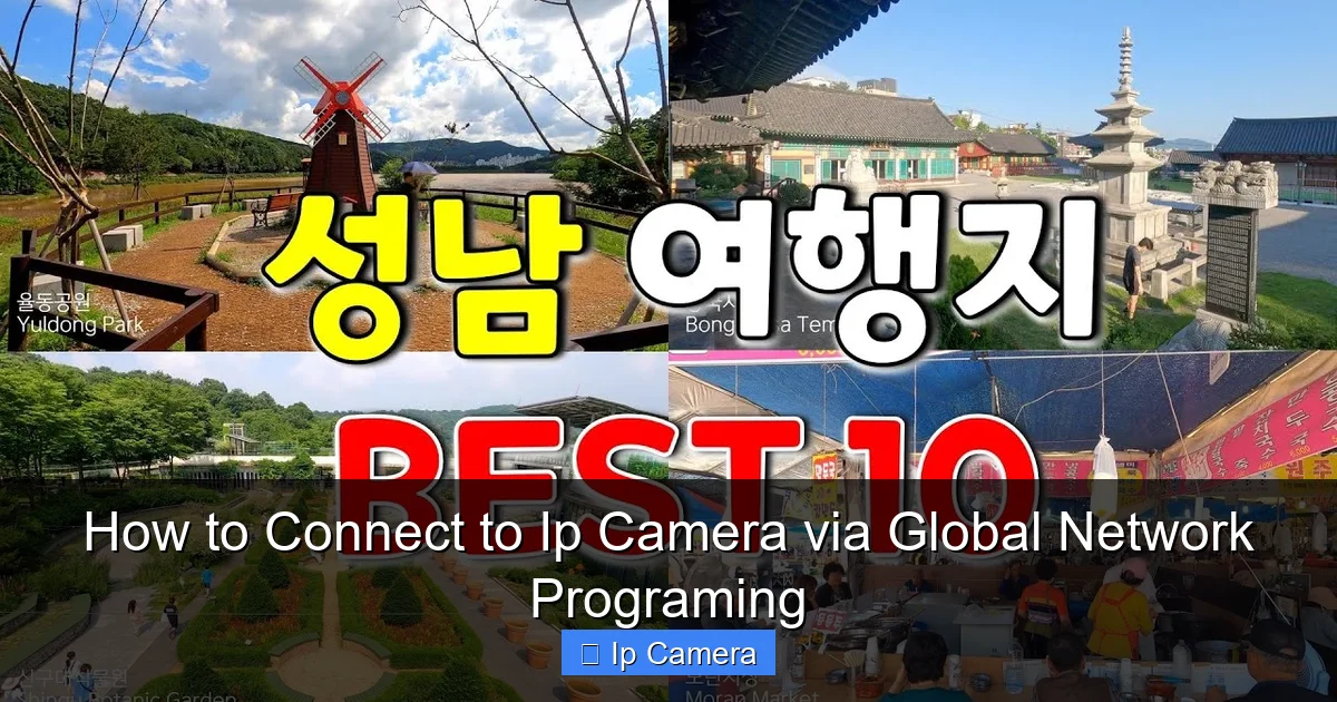 How to Connect to Ip Camera via Global Network Programing