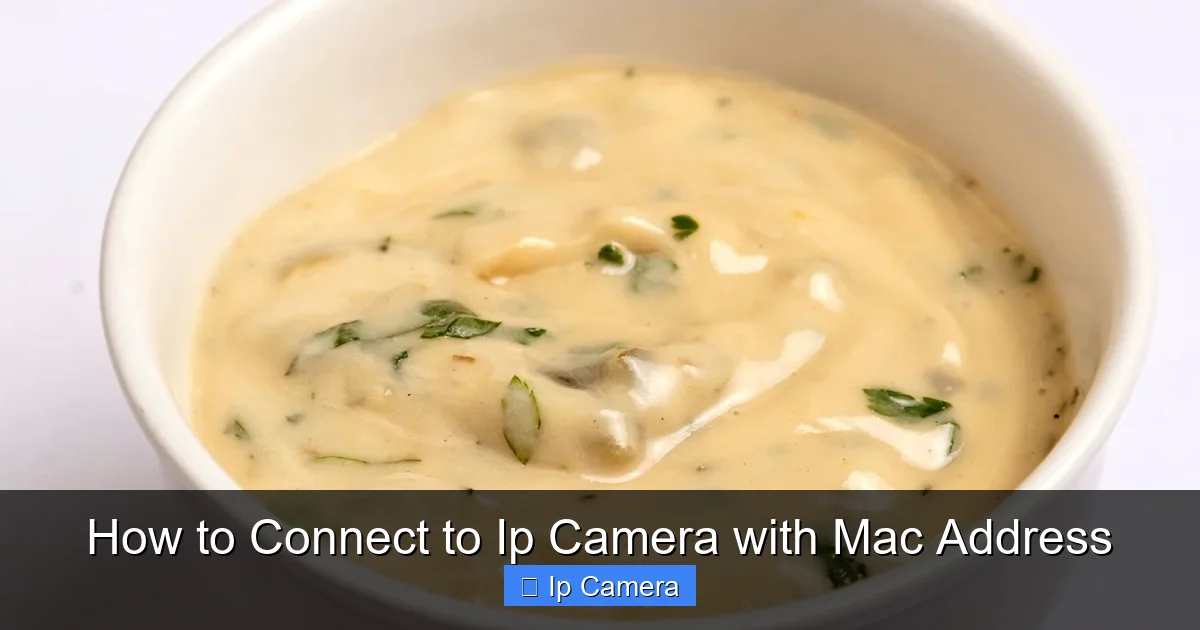 How to Connect to Ip Camera with Mac Address