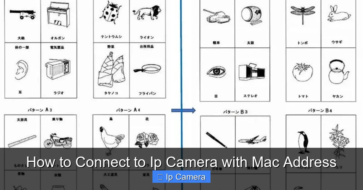 How to Connect to Ip Camera with Mac Address