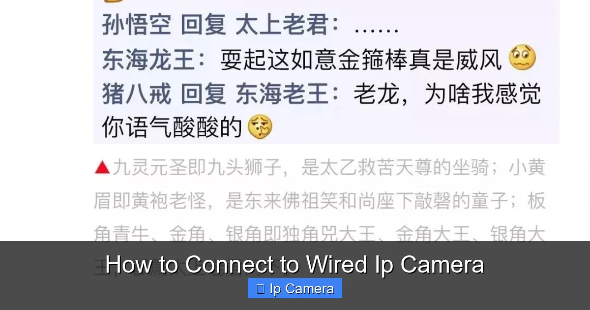How to Connect to Wired Ip Camera