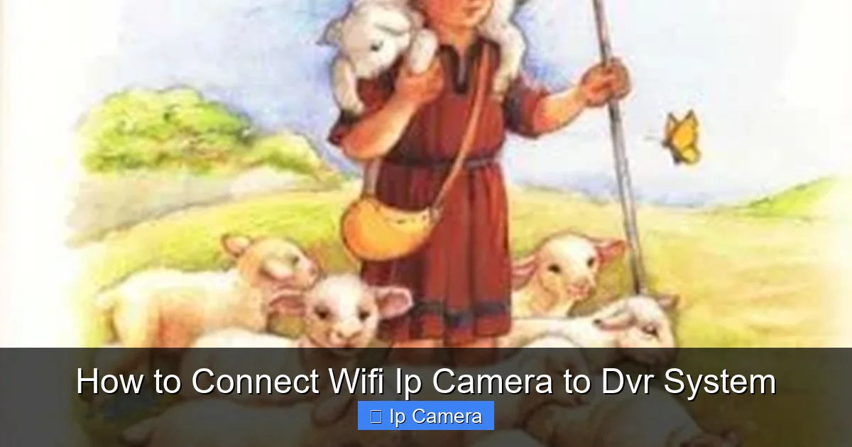 How to Connect Wifi Ip Camera to Dvr System