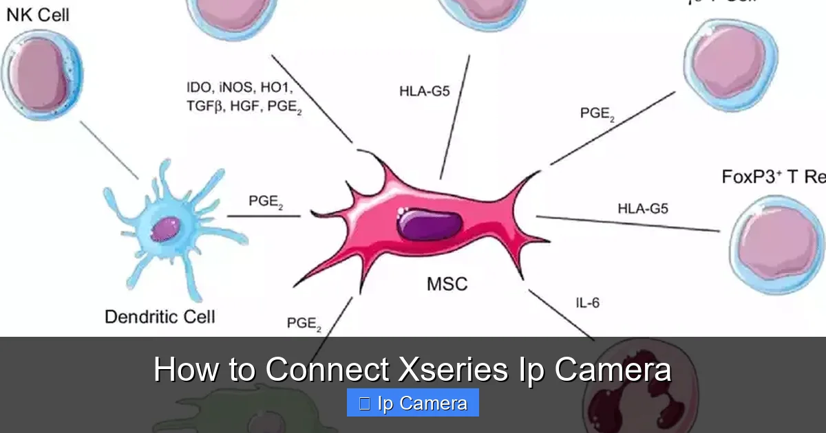 How to Connect Xseries Ip Camera
