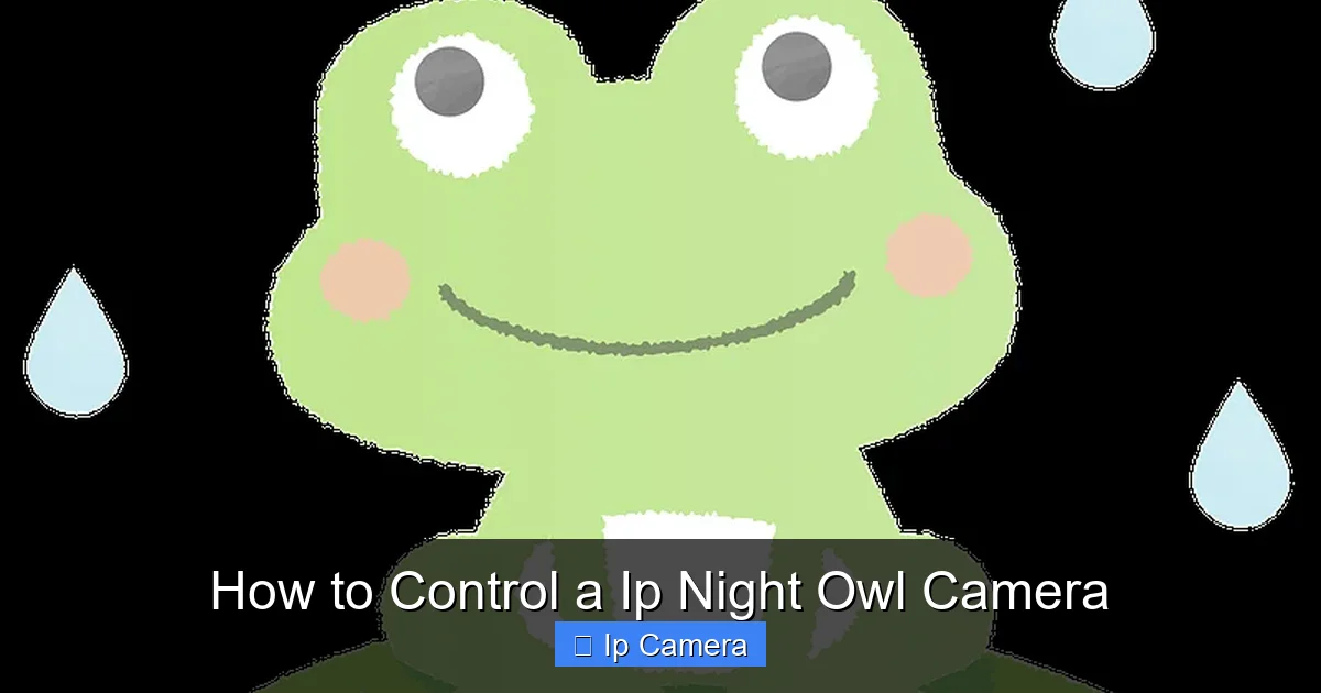 How to Control a Ip Night Owl Camera