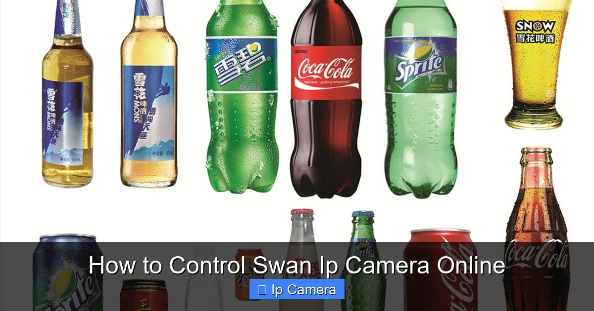 How to Control Swan Ip Camera Online
