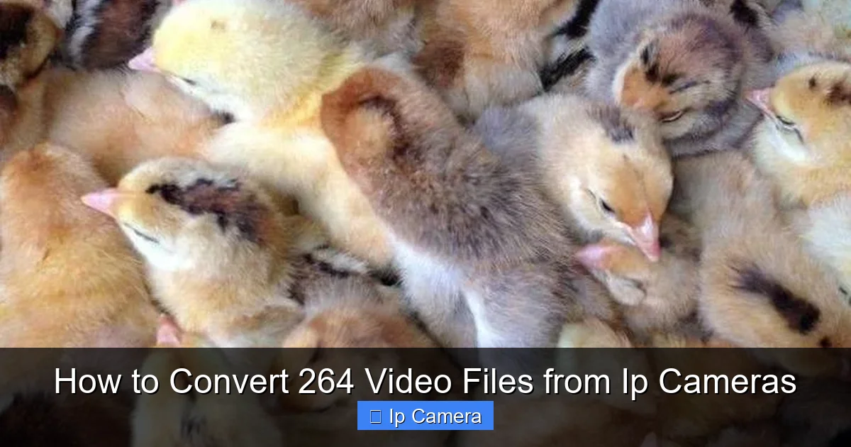How to Convert 264 Video Files from Ip Cameras