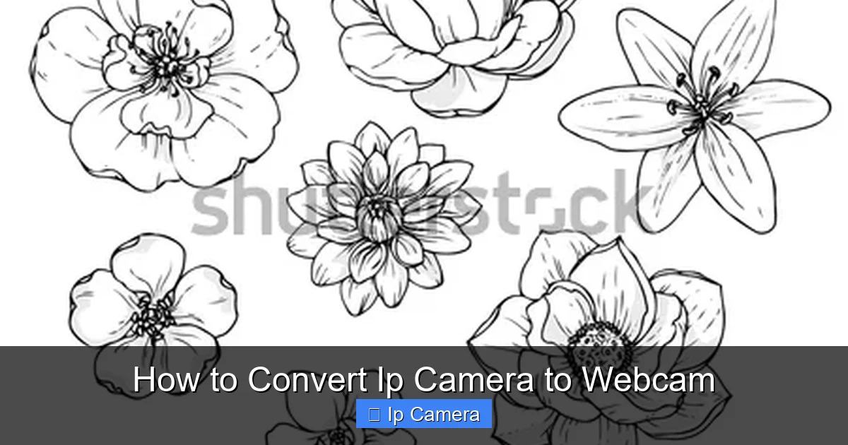 How to Convert Ip Camera to Webcam