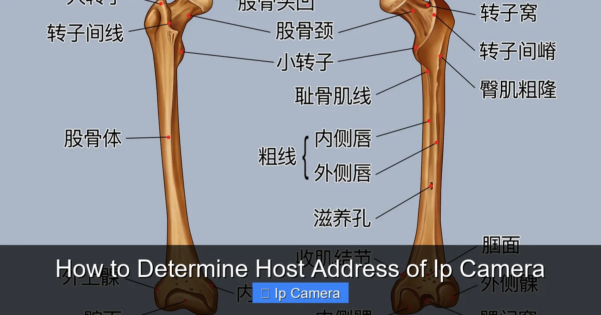 How to Determine Host Address of Ip Camera