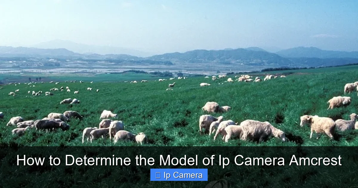 How to Determine the Model of Ip Camera Amcrest