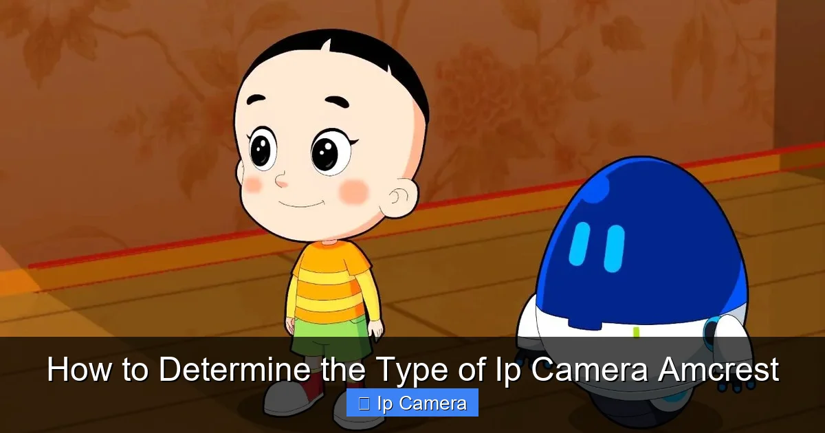 How to Determine the Type of Ip Camera Amcrest