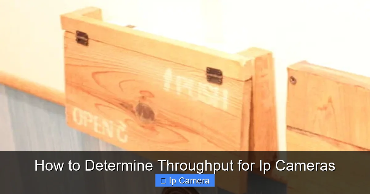 How to Determine Throughput for Ip Cameras