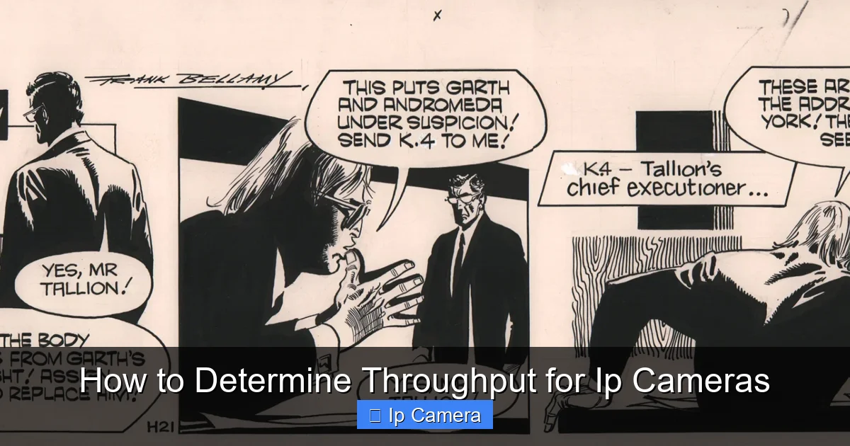 How to Determine Throughput for Ip Cameras