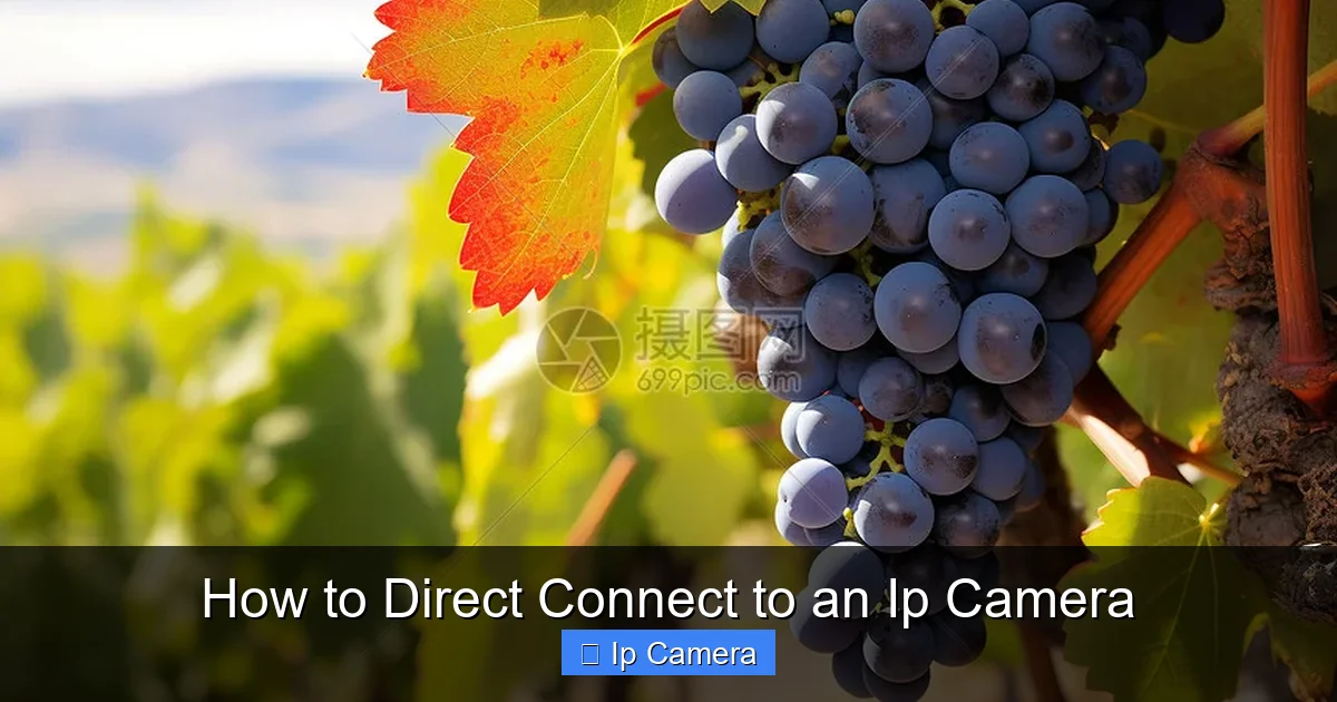How to Direct Connect to an Ip Camera