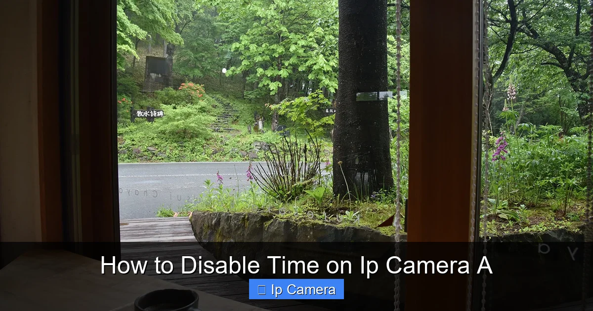 How to Disable Time on Ip Camera A